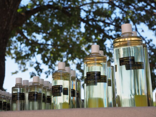 lavender oil, fragrance, to smell-1521779.jpg